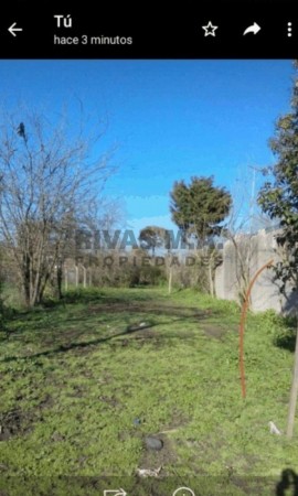 LOTE - LISANDRO OLMOS 202 46 Y 47 - 600 M2